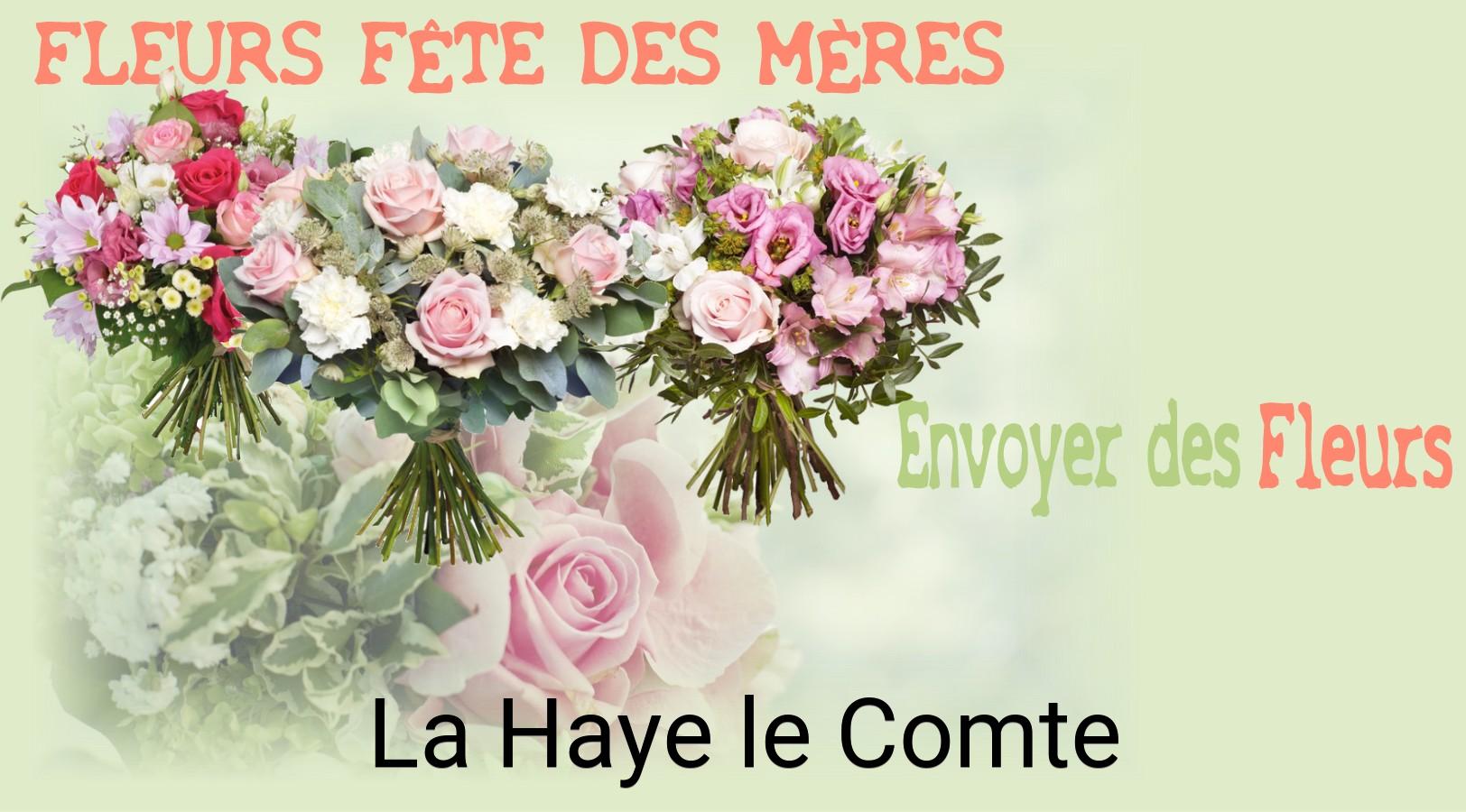 Bouquet de Fête des Mères livré à La Haye-le-Comte